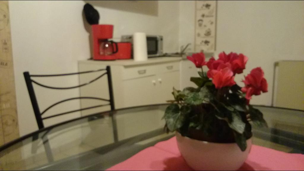 Ferienwohnung An Der Loreley Bornich Екстериор снимка
